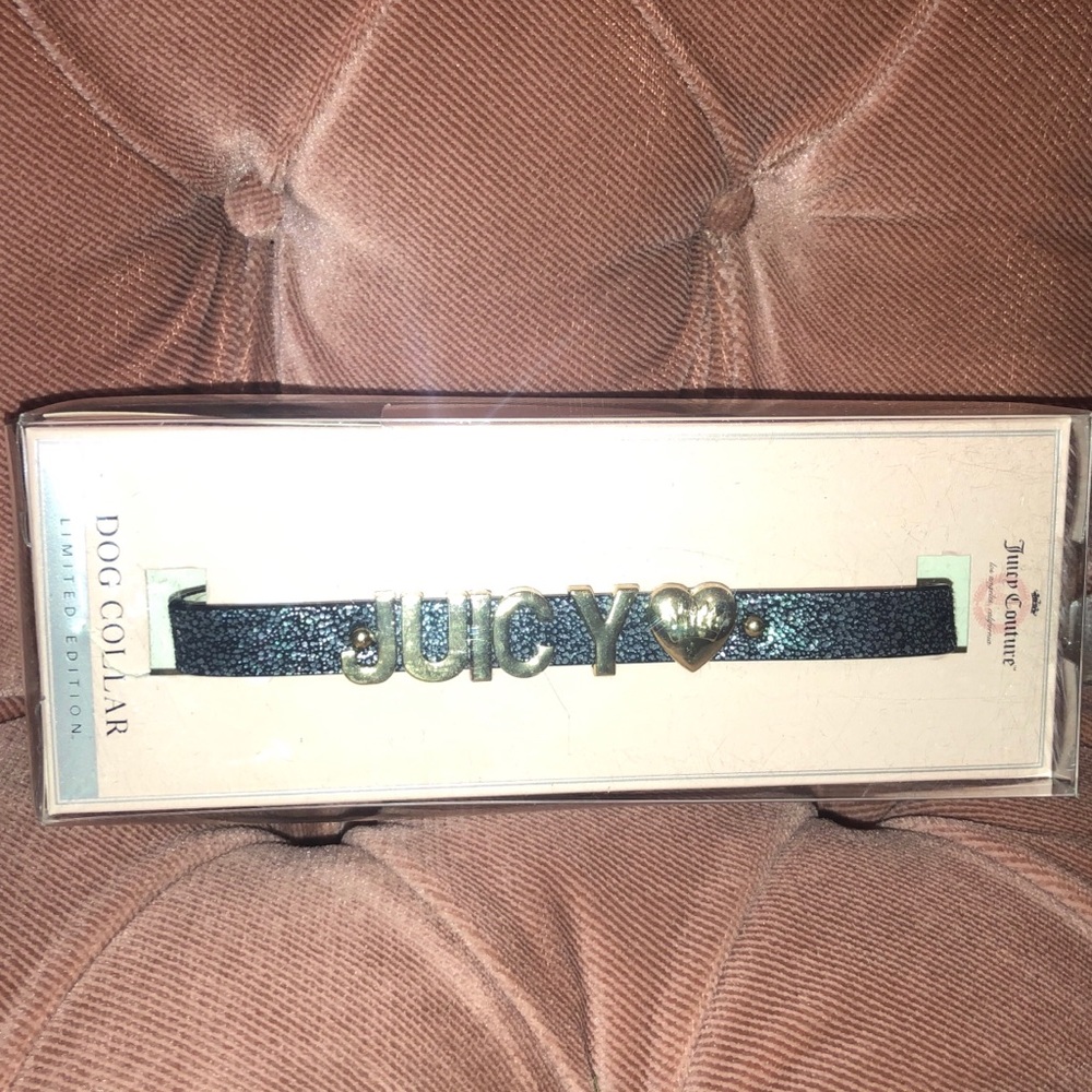 Juicy Contour  dog collar